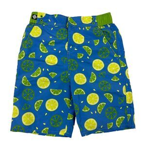Andy & Evan Boys Size 11/12 Blue Lime Lemon Fruit Pattern Swim Trunks Lined
